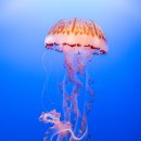 서울장편한내과의원 이미지