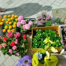 하나로마트사거리 이미지