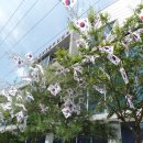 온양3동사무소 이미지