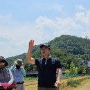 파크골프 이미지