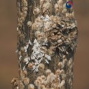 경상북도농약사 이미지