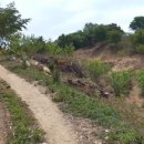 갈전소류지 이미지