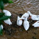 아침풍경 이미지