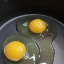 파파농장 | 내돈내산 N번째 구입한 컨츄리파파농장 난각번호 1번 유정란 후기