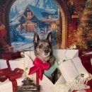 멍테소리 이미지