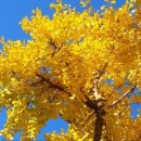 어느가을 오후 이미지