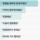 636 | 나혼자산다 부산 고양이카페 유기묘카페 코쿤 이동휘 나혼산 636