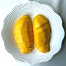 그린브릭스 티스토리