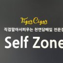 타이거시가