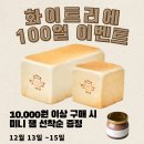 화이트리에배곧점