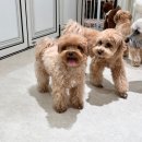 코코스퀘어 이미지