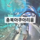 미생물연구관 | 민물아쿠아리움 충북 괴산 입장료 무료 방문 후기.