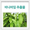 리치짐 네이버블로그