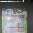 미향식품 | 평택 고덕 양꼬치 맛집 미향양꼬치 후기 / 생양꼬치, 토마토계란탕, 꿔바로우로 완벽한 한끼로 쳬력보충!
