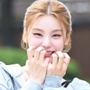 미모고양이 이미지