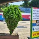 옥천셀프주유소 이미지