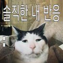 홍 - 창원시 성산구 중앙대로 75 | 홍