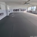 장산 팀매드 (팀매드 장산) 이미지