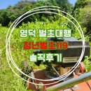 영덕 벌초대행 찾고 계신다면, 청년벌초119 [솔직후기]