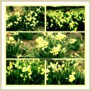 상모리-10 이미지