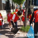 천안 하나님의교회 환경 정화 봉사활동 실시 이미지