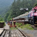 섬진강 레일바이크 이미지