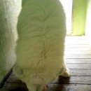 럭키농장 이미지