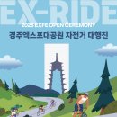 대행진 이미지