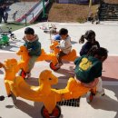 🚞기차타고 왕궁 포레스트에 다녀왔어요.-2 🪴🪴🪴왕궁 포레스트 🌳🌳🌳 이미지