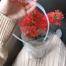 은혜광고화원 | [일상]첫 포스팅, 어버이날