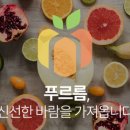 늘푸르름