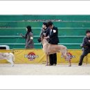 사진카페 2월 Daum카페