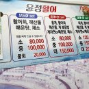 윤정활어