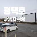 영화자동차 | 주말 기록 평택호 자동차극장, 영화 왕과사는 남자 후기