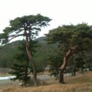 최씨 고가