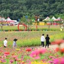 산소카폐 청송정원 (2) 이미지