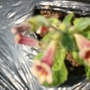 보현농장 이미지