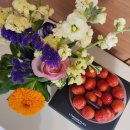 재송1동-33 이미지