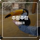 떡보의하루 영등포1호점 | 비 오는 날도 폭염에도 실내 피서지 OK 동물원 타임스퀘어 주렁주렁 영등포점 방문 후기