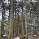 구좌 라파 김두성 할머니집 이미지