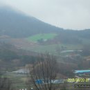 재식목장 Daum카페