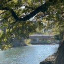 월대천 | 제주 물놀이 장소 [월대천] 숨은 피서지 명소