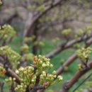 불은면-10 이미지