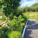 산아래물가에서 이미지