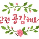 파두스 이미지