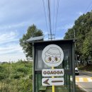 코코까까 | [인천/강화] 강화도 특산품으로 만드는 쑥 에그타르트가 있는 강화까까 후기