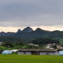 연정축산 이미지