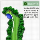 그린벙커와 페어웨이벙커 구분에 관하여... 이미지