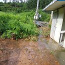 죽림낚시터 이미지