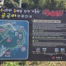 공곶이이야기 이미지